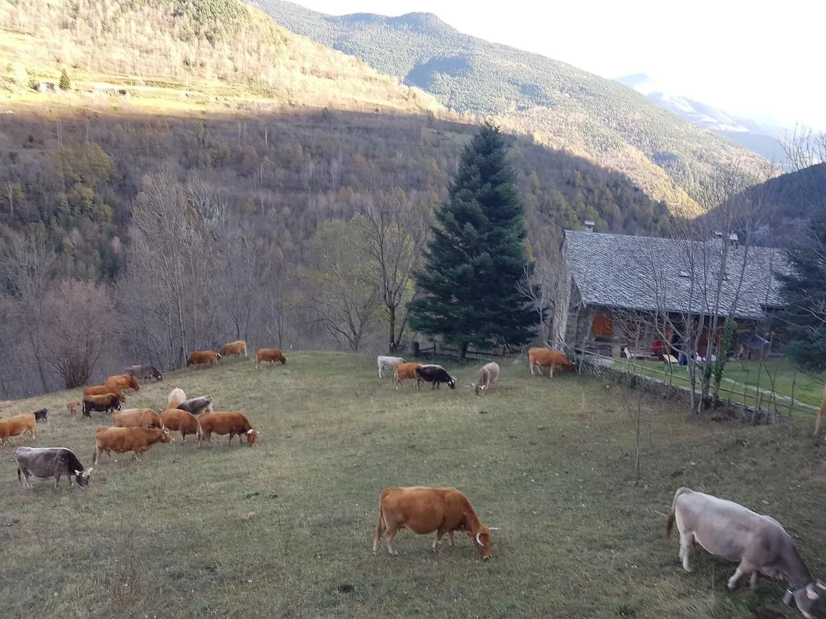 Hotel Rural L'Ortiga Blanca Queralbs